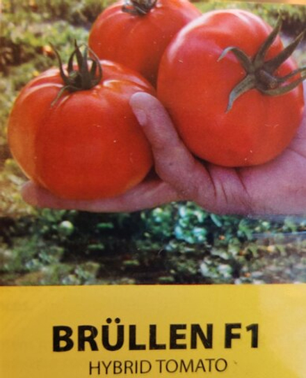 Томат Брюллен F1 (Brüllen tomato)