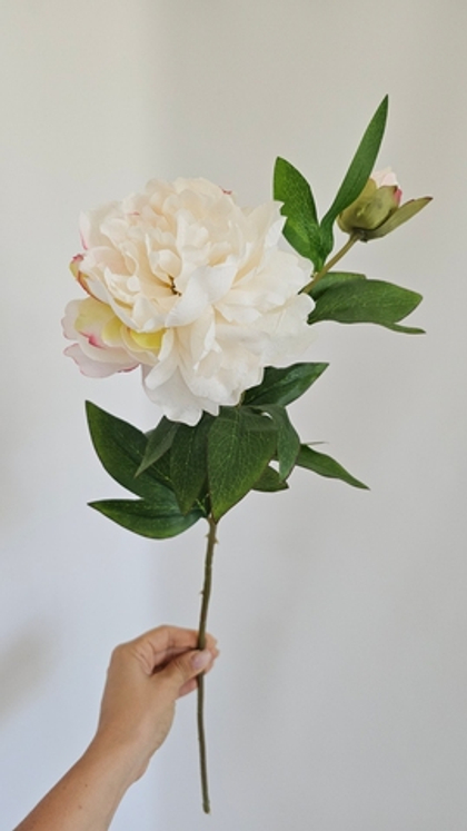 Пион / Арт 2029