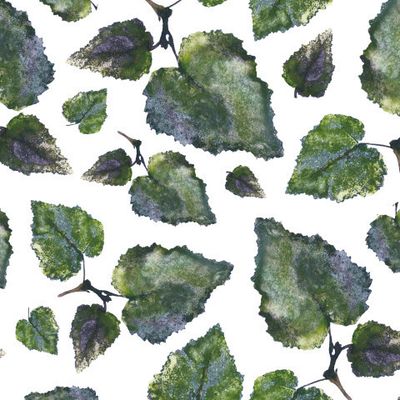 Листья берёзы №4.