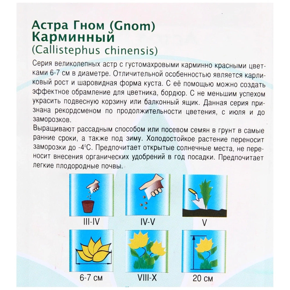 Семена Астра гном Карминный 0,3гр