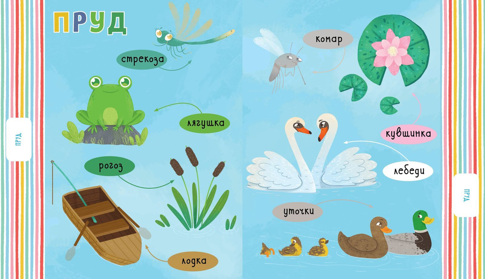 Первые книжки малыша. Гуляем во дворе. Визуальный словарь