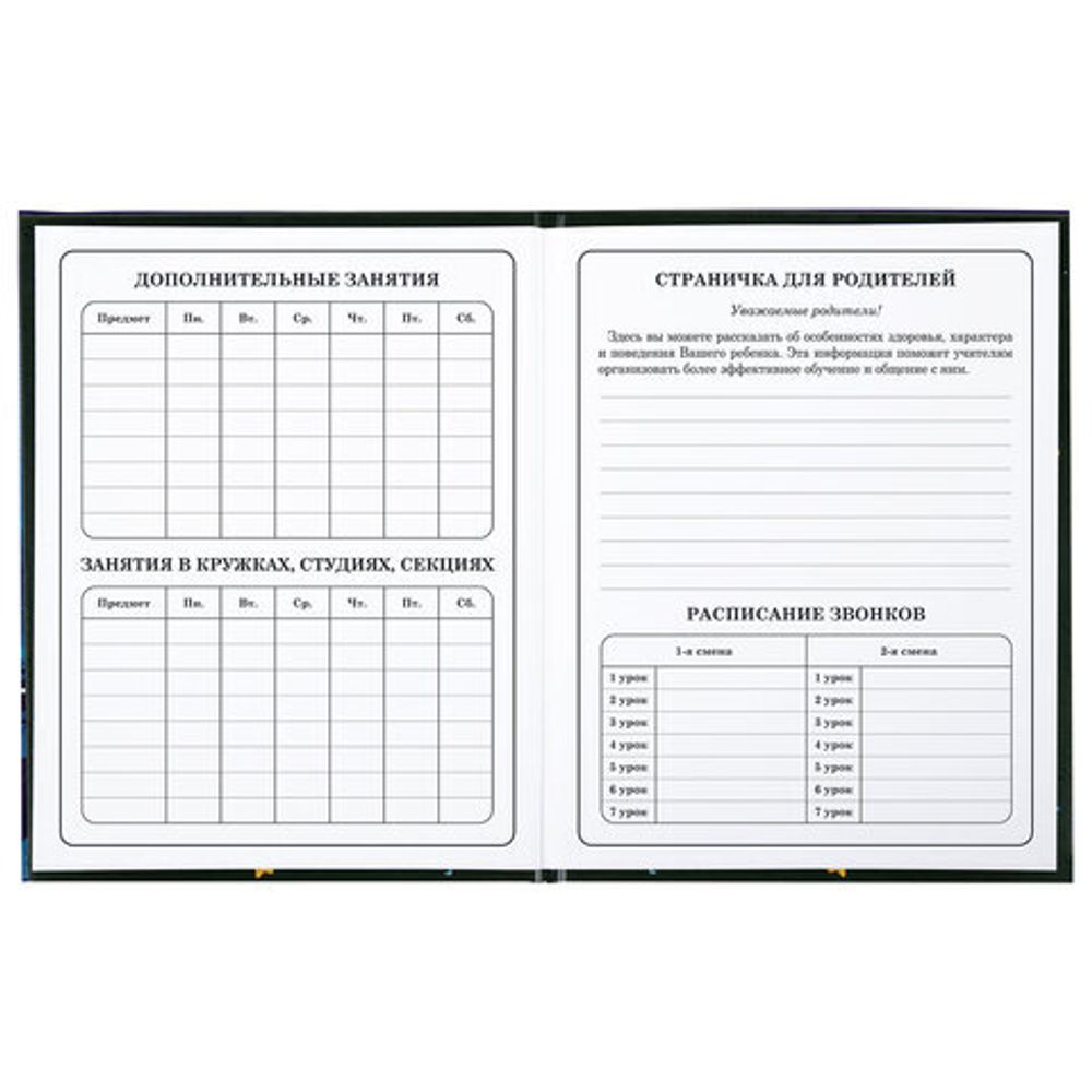 Дневник 1-4 класс 48 л., твердый, BRAUBERG, глянцевая ламинация, с подсказом, "Аниме котики", 106831