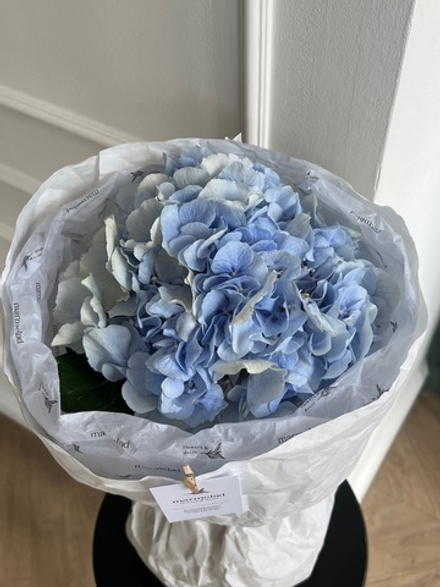 Авторский букет из гортензии в голубом оттенке