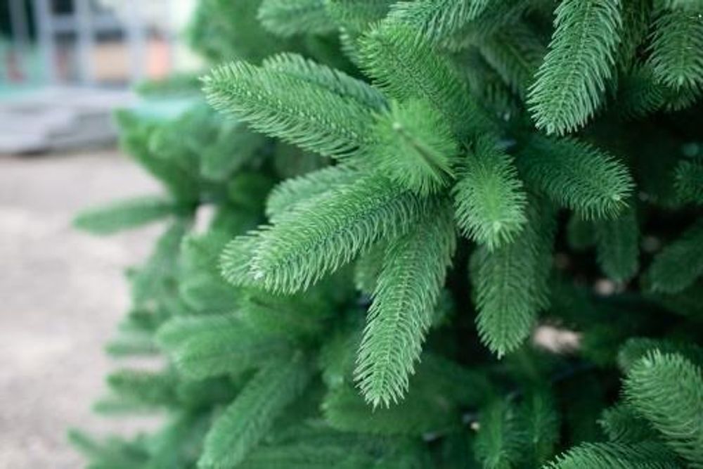 Большая елка «Клеопатра Люкс» GT (Литая хвоя) 5 м