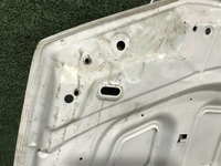 Капот Nissan Terrano 3 (2014-2022)