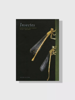 Книга Insectes (Editions du Chêne) Букинистическое Издание