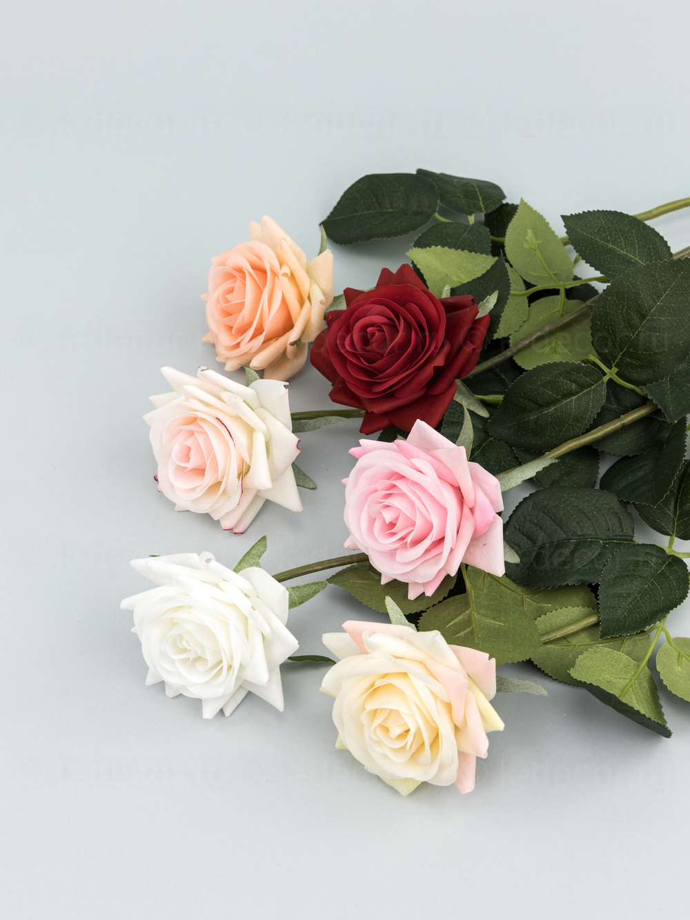 Роза Фелиция силикон