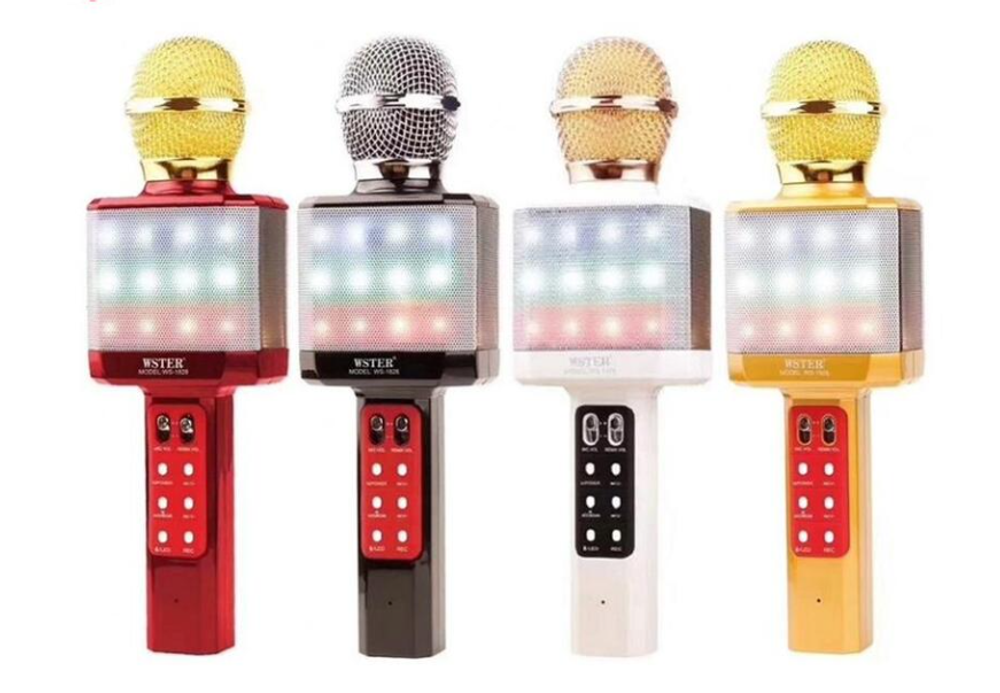 Микрофон WSTER WS-1828