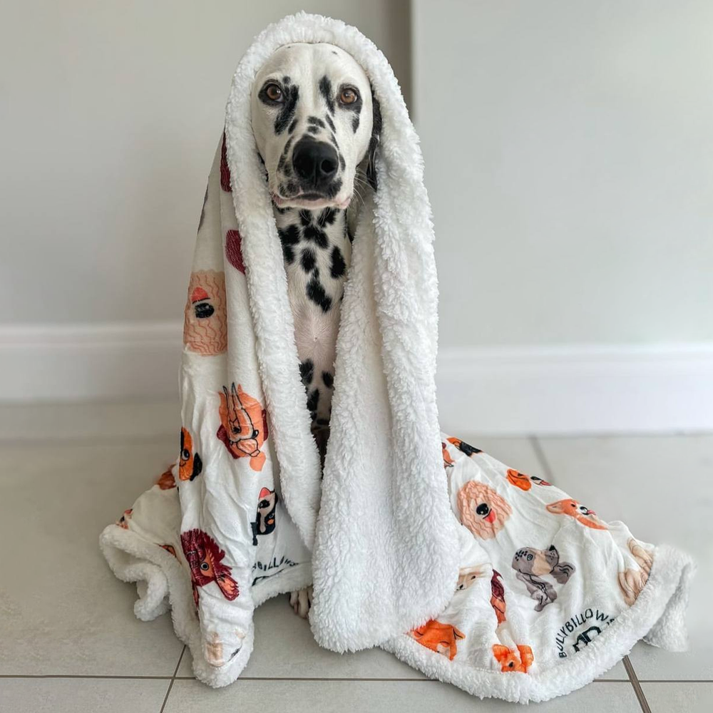 Покрывало для собак BullyBillows