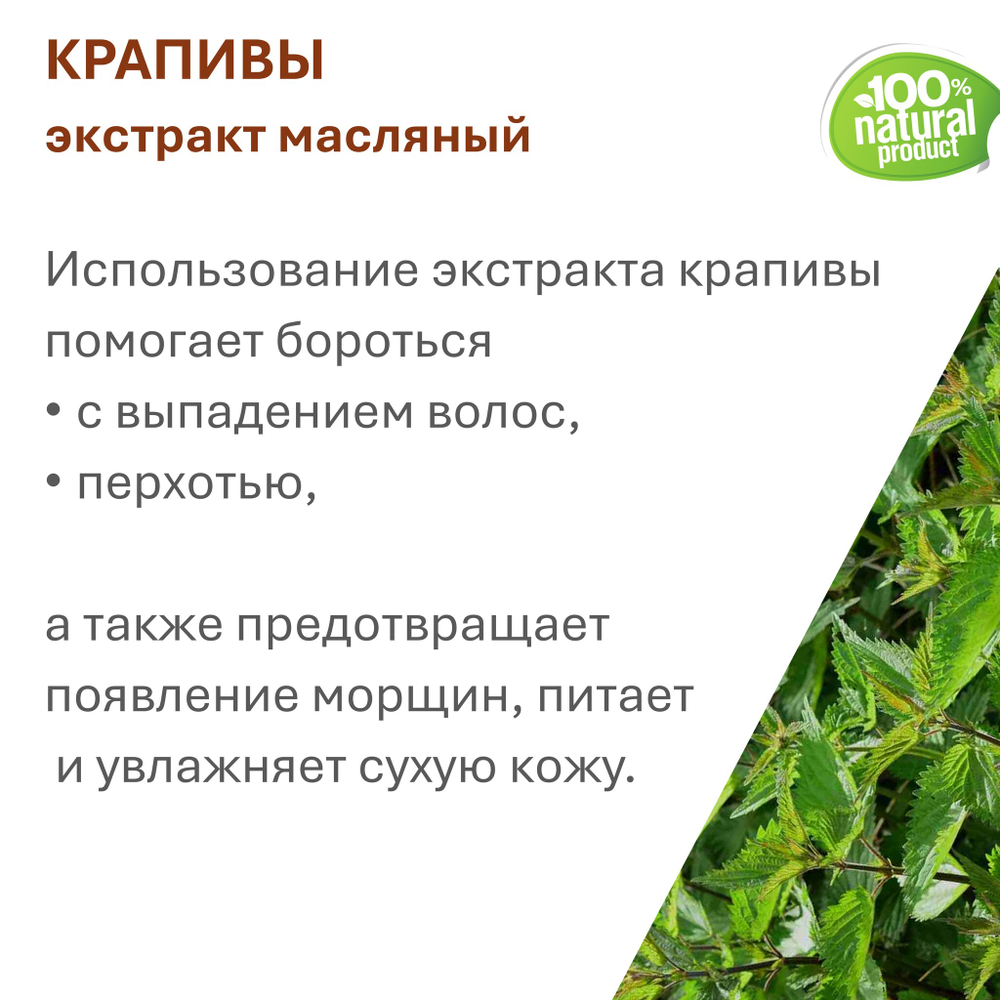 Экстракт крапивы, масляный