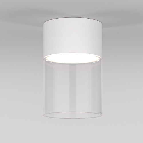 Накладной светодиодный светильник Elektrostandard Lumen 25047/LED 10W 4000К белый/прозрачный
