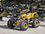 Lion 125 A желтый