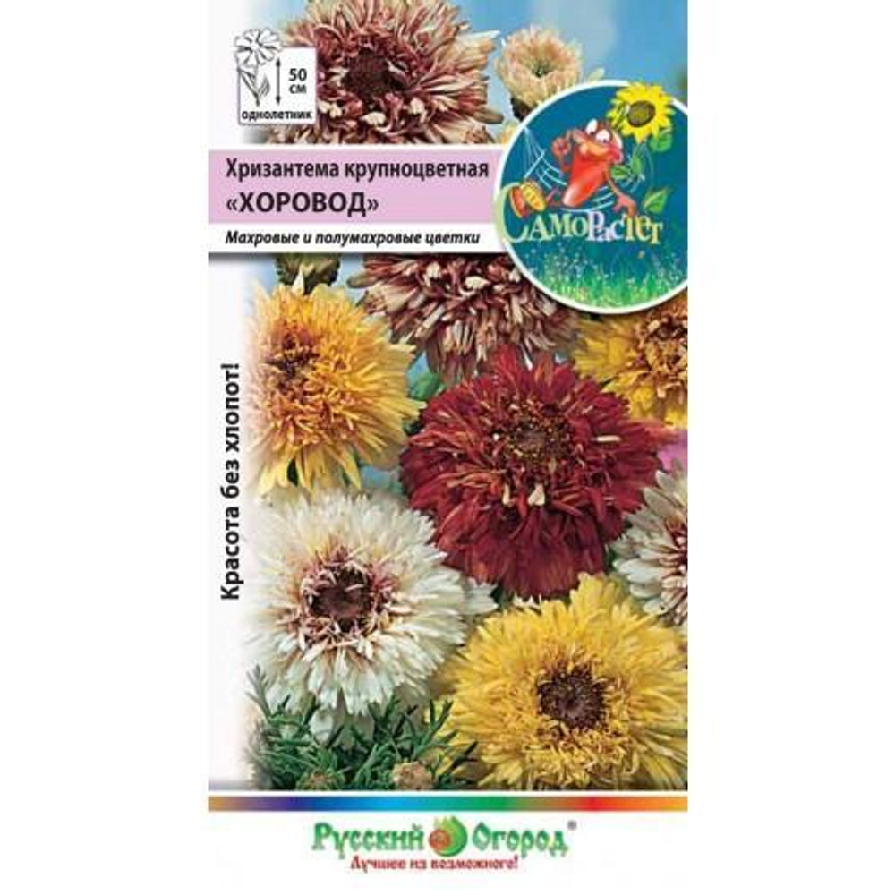 Семена Хризантема крупноцв.Хоровод см.