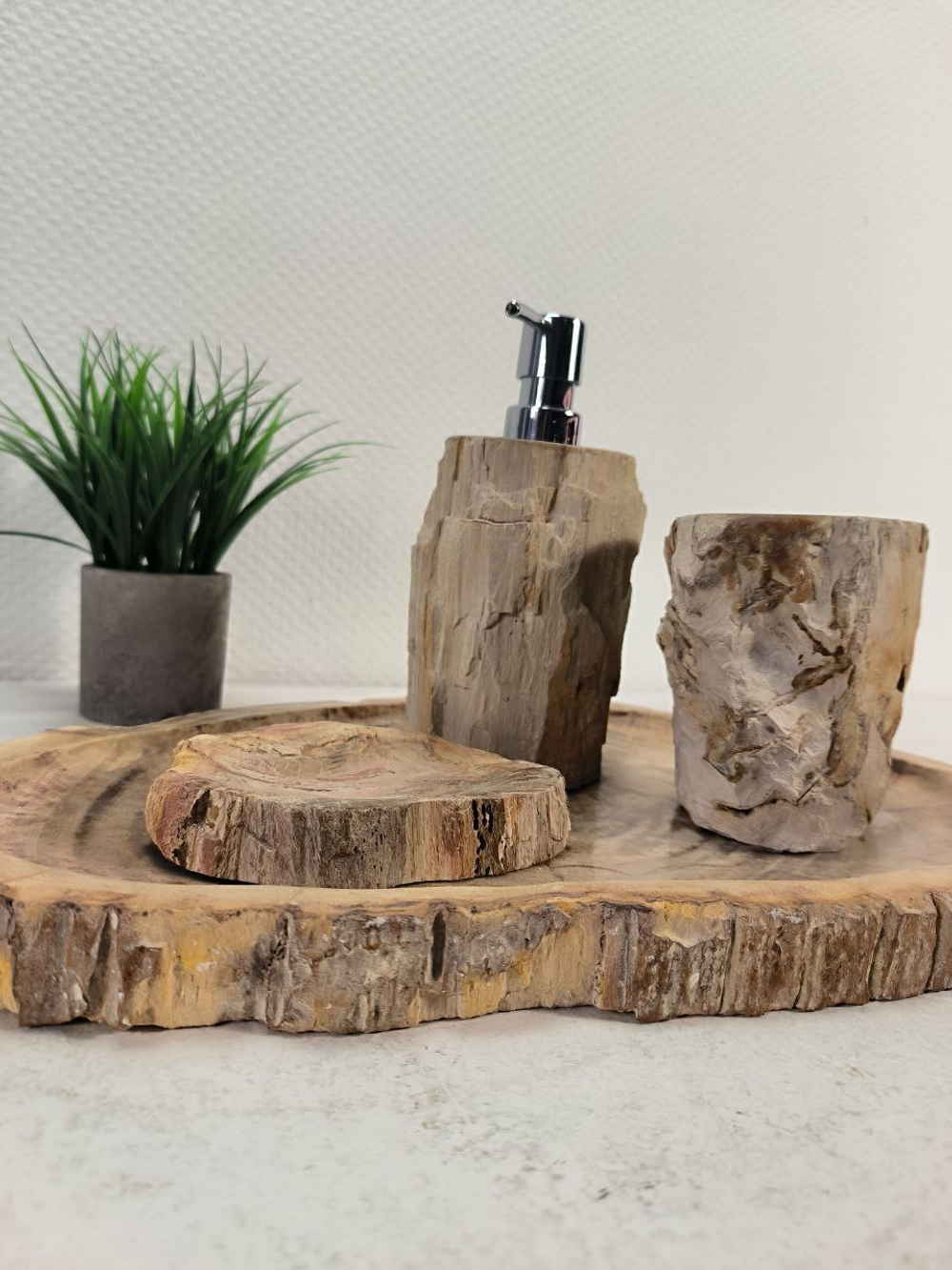 Набор из окаменелого дерева 4 предм Fossil Set NF-63062 поднос 29см*43см