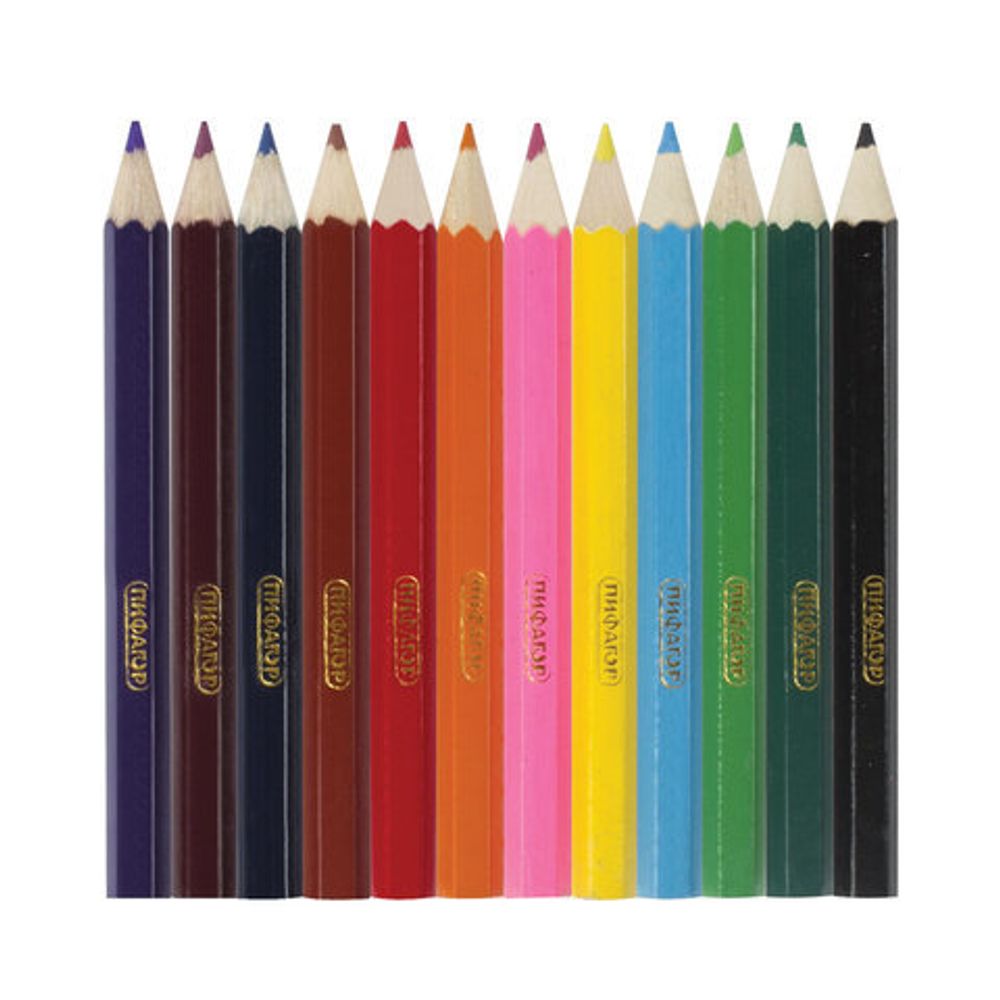 Карандаши цветные ПИФАГОР "МАЛЫШИ-КАРАНДАШИ", 12 цветов, укороченные заточенные, 181344