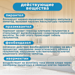 Суспензия от гельминтов и лямблий, профилактика дирофиляриоза для кошек Фенпраз Форте, 5мл.