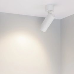 Светильник SP-ARTEMIS-SURFACE-FLAP-R55-12W Day4000 (WH, 8-80 deg, 230V) (Arlight, IP20 Металл, 5 лет) 051787