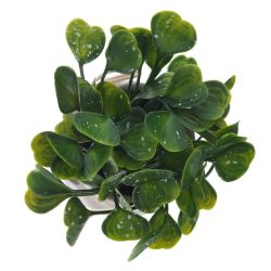 GAEM Цветочная композиция, L12 W12 H18 см, 4в.