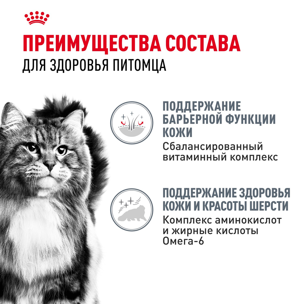 Royal Canin Hair&Skin Care Хэйр Энд Скин Корм влажный для взрослых кошек поддержание здоровья кожи и шерсти соус 85г