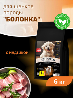 Quattro корм для щенков породы Болонка, с индейкой, 6 кг, QUATTRO