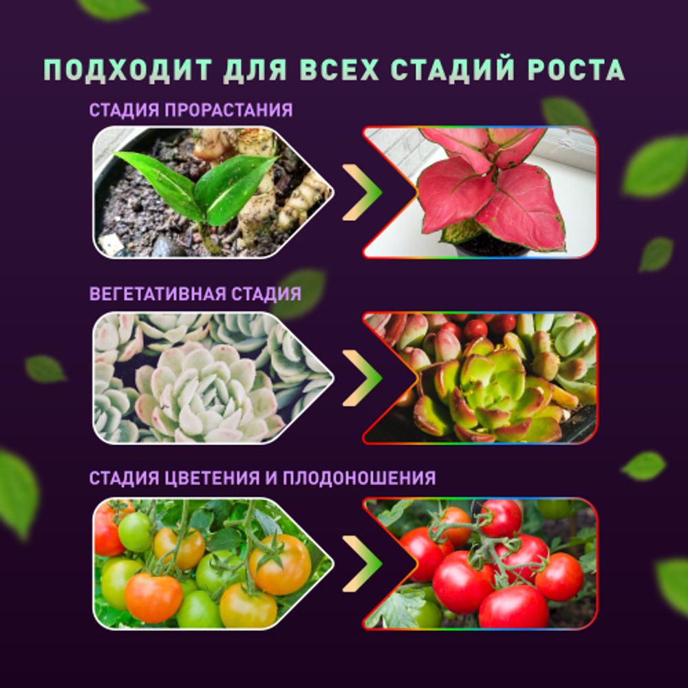 Настольный светильник для растений ЭРА FITO-20W-QLED-W полного спектра 20 Вт белый | Интерьерные фито светильники