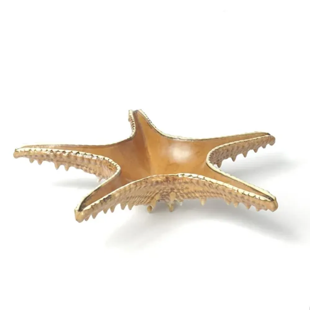 Блюдо для подачи 28*28 см h6 см 100 мл Звезда Pearl Starfish Frutti di Mare P.L. [1]