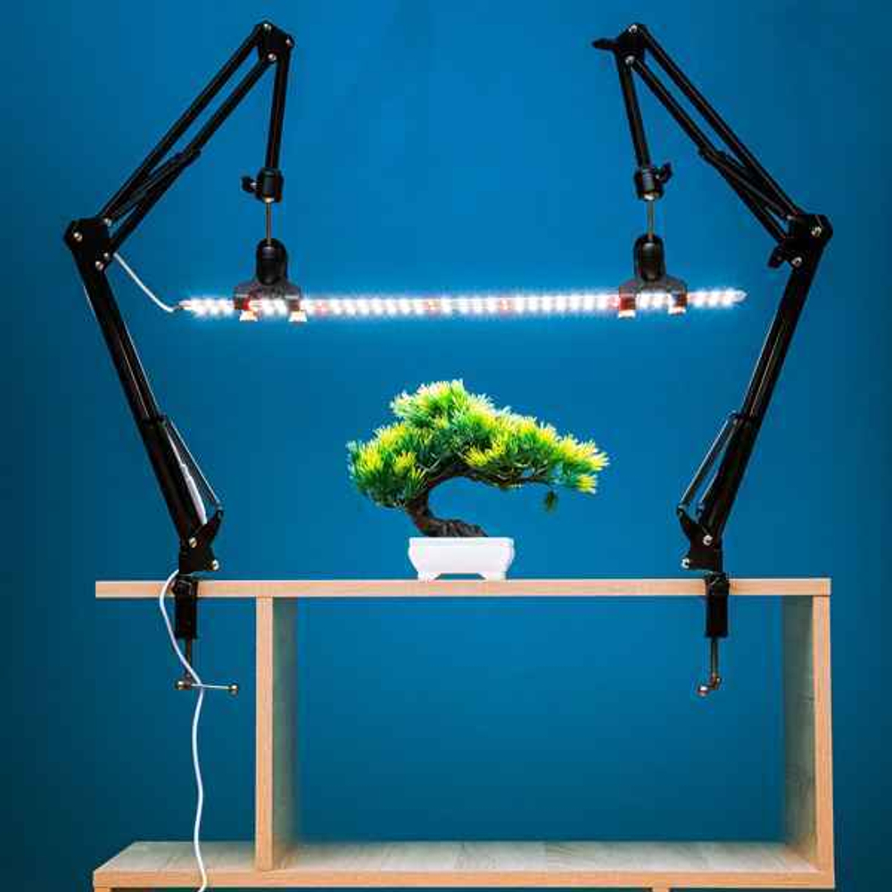 Комплект из двух Quantum line 60 см, 50W