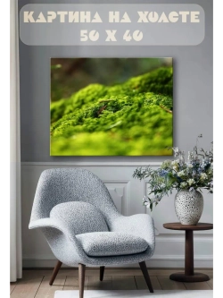Картина на стену 40 X 50 Мох