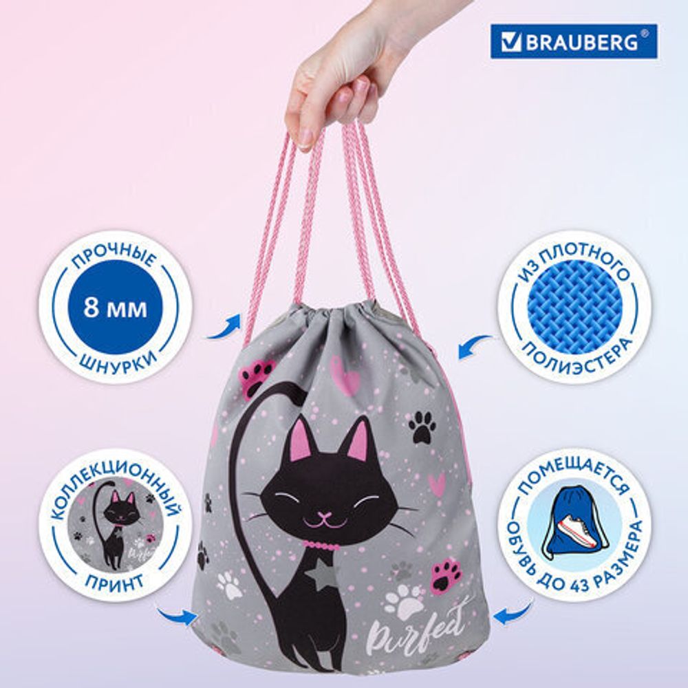Мешок для обуви BRAUBERG PREMIUM, карман, подкладка, светоотражайка, 43х33 см, "Elegant cat", 271620