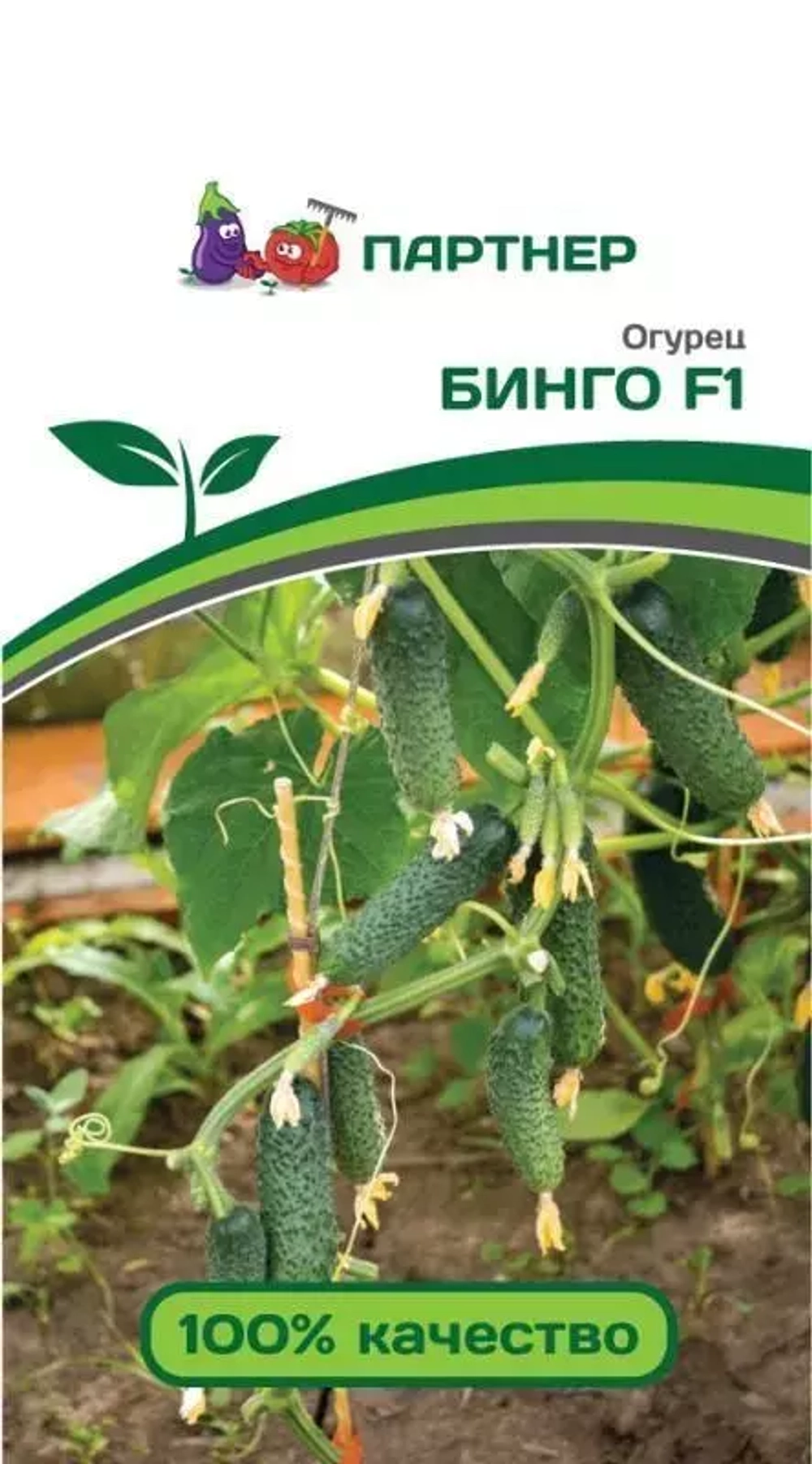 ОГУРЕЦ БИНГО F1 (ПАРТНЕР) 4шт.