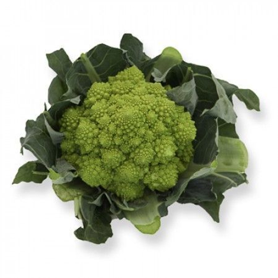 ПУНТОВЕРДЕ F1 семена капусты цветной (Rijk Zwaan | Alexagro) – фото 8
