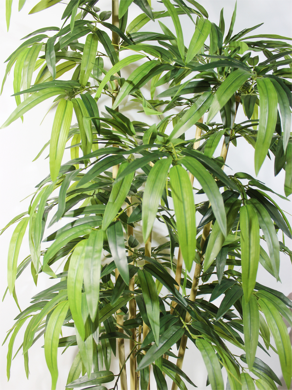 Дерево Бамбук темный 130см в горшке