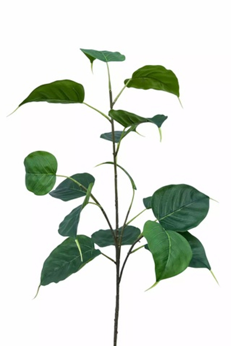 Ветка фикуса Эдем малая