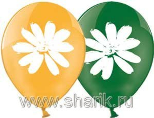 Шар "РОМАШКИ" 14" латекс в ассортиментем