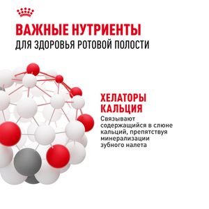 Сухой корм Royal Canin Mini Dental Care для собак мелких размеров, предрасположенных к образованию зубного камня