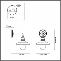 Уличный настенный светильник Odeon Light 4965/1W