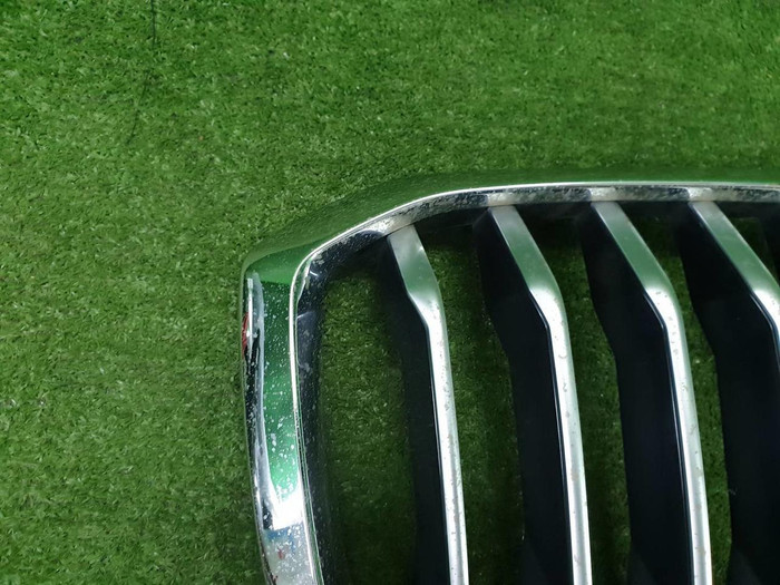 Решетка радиатора BMW X5 G05 (2018-2023)