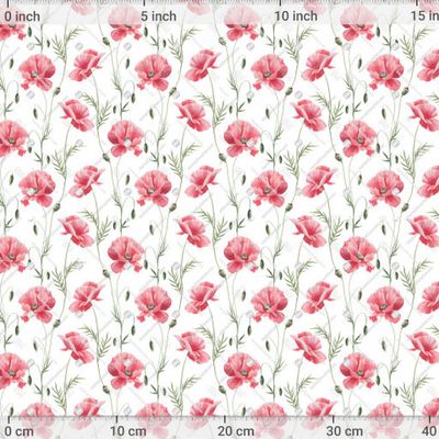 Красные акварельные маки на белом фоне. by PaLy  1200 DPI