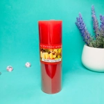 Свеча «Fantasy-Тропические фрукты» 4,8*14,8см YZ009