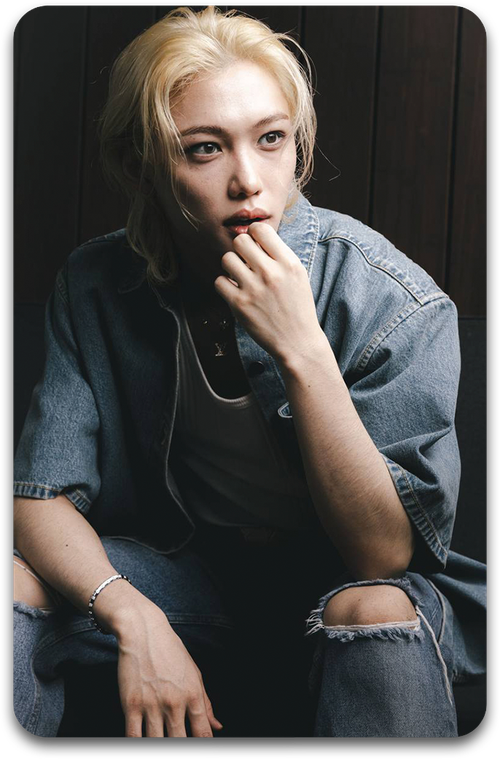 Карта / STRAY KIDS #2747