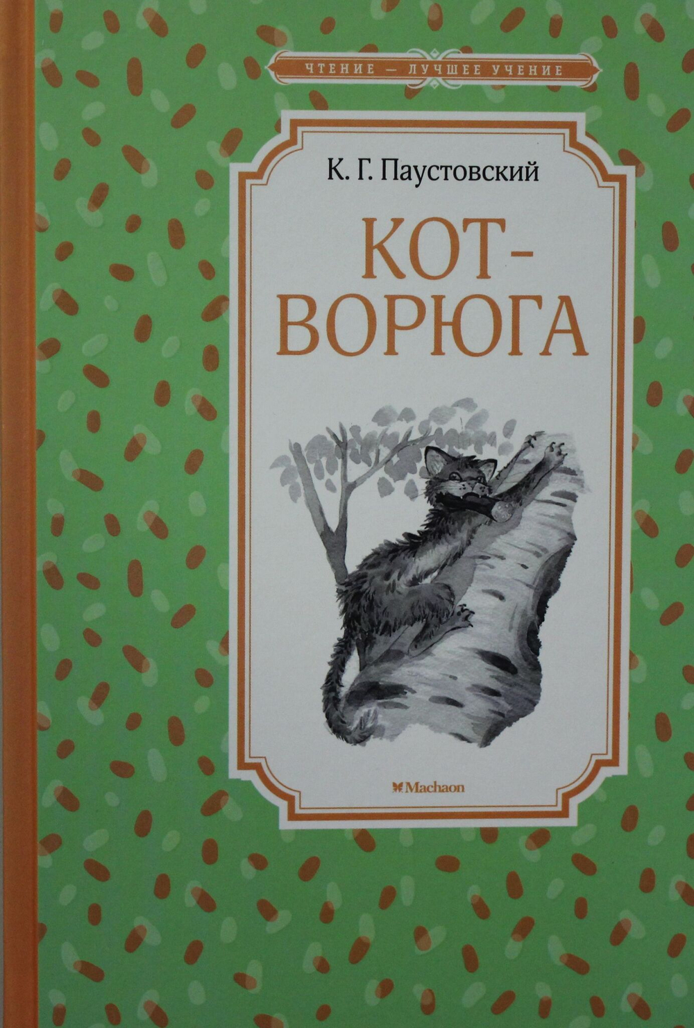 Кот-ворюга. Рассказы и сказки