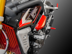 DUCABIKE Слайдеры в раму Triumph Speed Triple RR / RS PTST01