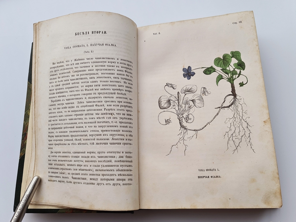 "Ботанические беседы". Б.Ауэрсвальд, Э.А.Россмесслер. 1860 г. - редкая книга
