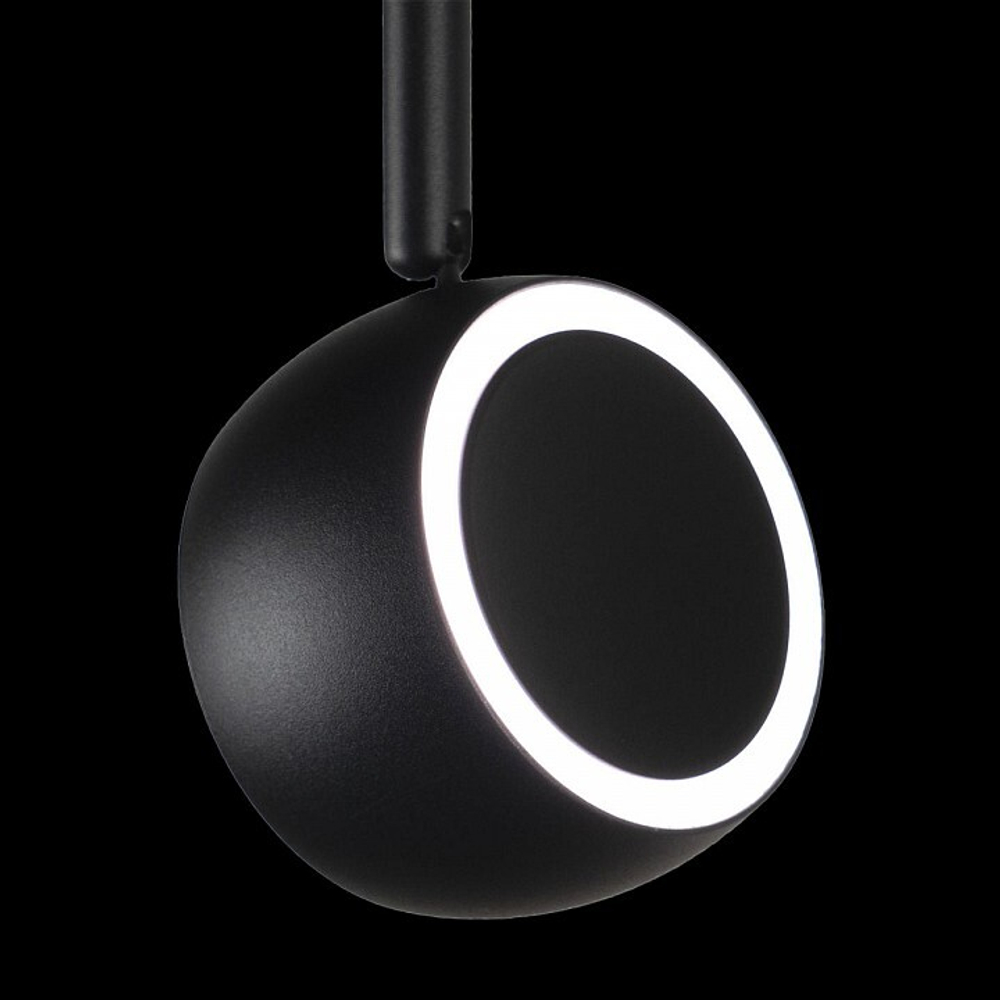 Трековый светильник Loft it T034-10