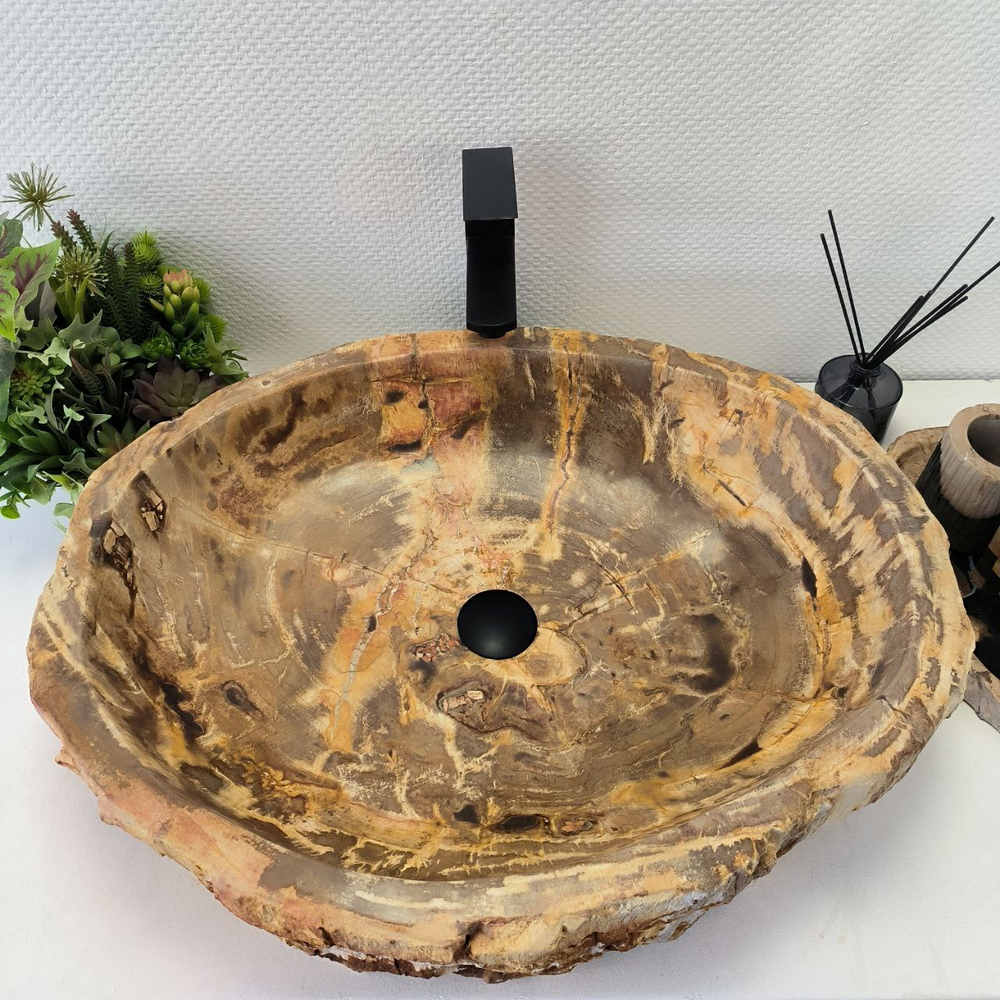 Раковина из окаменелого дерева FossilBasin OD-62478 67*52*16