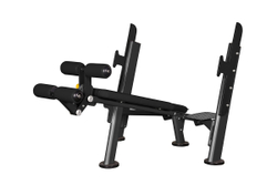 Скамья для жима с отрицательным наклоном Spirit AFB103