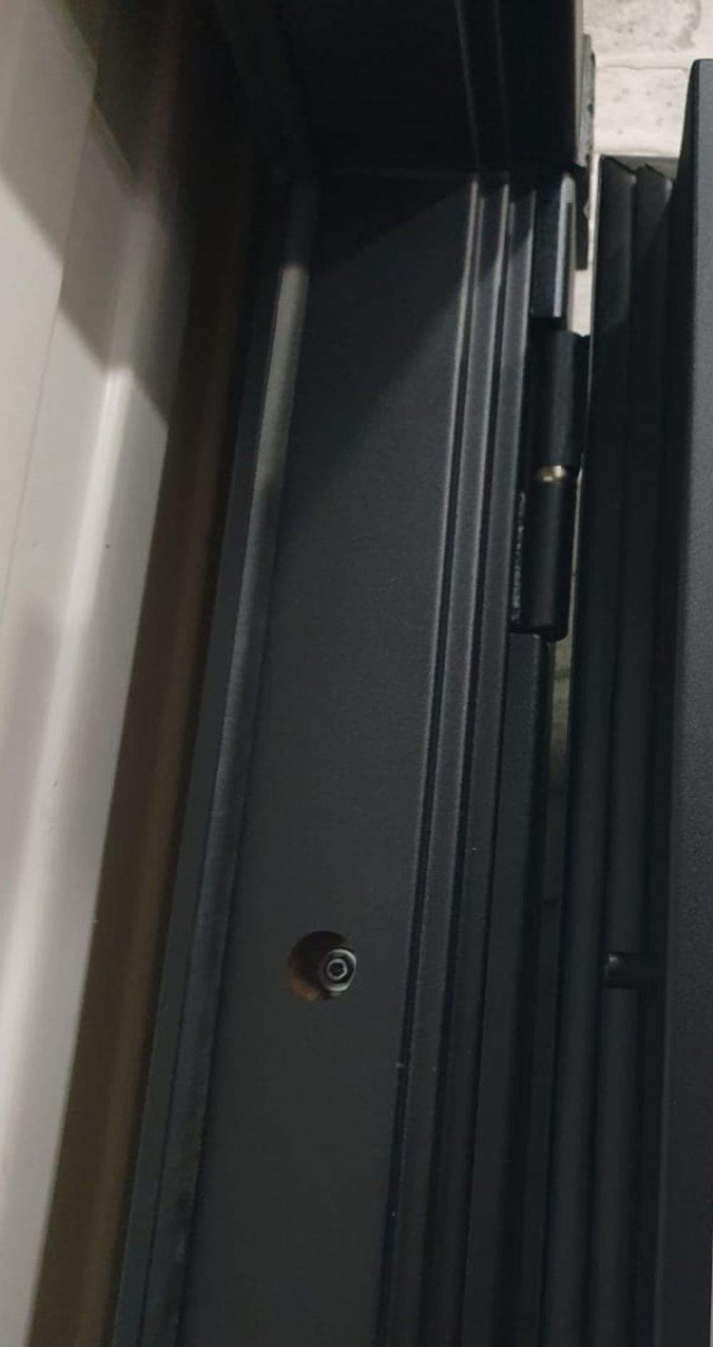 Входная металлическая дверь с зеркалом ReX (Рекс) 20 Венге / СБ-16 Силк сноу (белый матовый, без текстуры)
