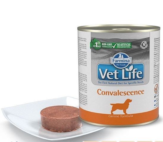 Фармина VetLife Convalescence паштет для собак в период выздоровления