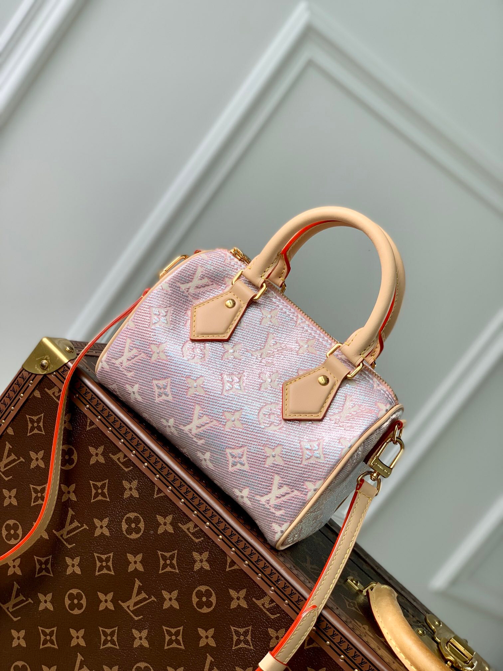 Louis Vuitton Speedy 20