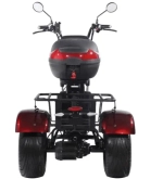 Электроскутер SKYBOARD CITYCOCO TRIKE BR80